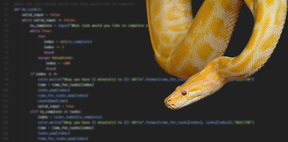 Python Code with Python snake